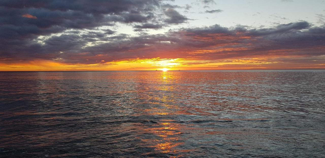 La Nina Del Mar Daire Benalmádena Dış mekan fotoğraf